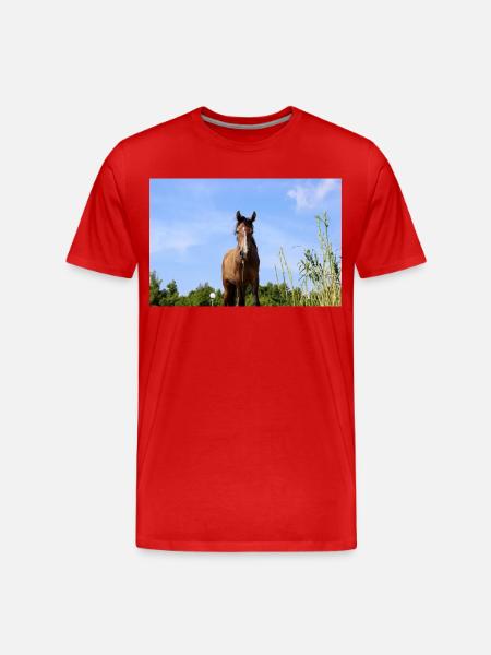 Affiche Cheval Cheval - T-shirt bio Premium Homme - rouge