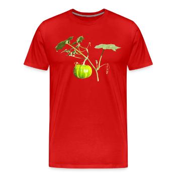 Citrouille - T-shirt bio Premium Homme - rouge - Devant - Damien (186cm)