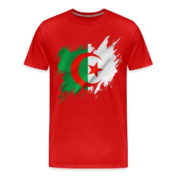 Algerische Flagge, zerrissener Stil - Männer Premium Bio T-Shirt - Rot - Vorne - Damien (186cm)