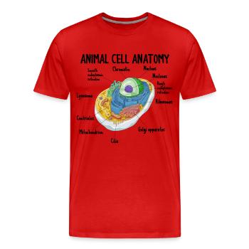 Anatomie des cellules animales Biologie Biologiste Science - T-shirt bio Premium Homme - rouge - Devant - Damien (186cm)