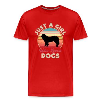 Chien de berger du Caucase Silhouette Rétro Coucher de soleil - T-shirt bio Premium Homme - rouge - Devant - Damien (186cm)
