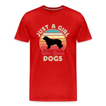 Catalan Sheepdog Dog Lover Silhouette Retro Sunset - Men's Premium Organic T-Shirt - red - Front - Damien (186cm)