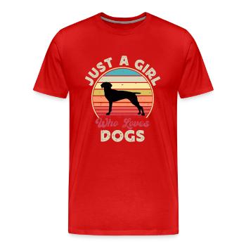 Old Danish Pointer Dog Silhouette Retro Sunset - Men's Premium Organic T-Shirt - red - Front - Damien (186cm)