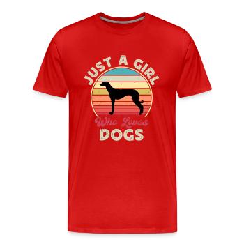 Vieux Lévrier Croate Chien Silhouette Rétro Soleil - T-shirt bio Premium Homme - rouge - Devant - Damien (186cm)