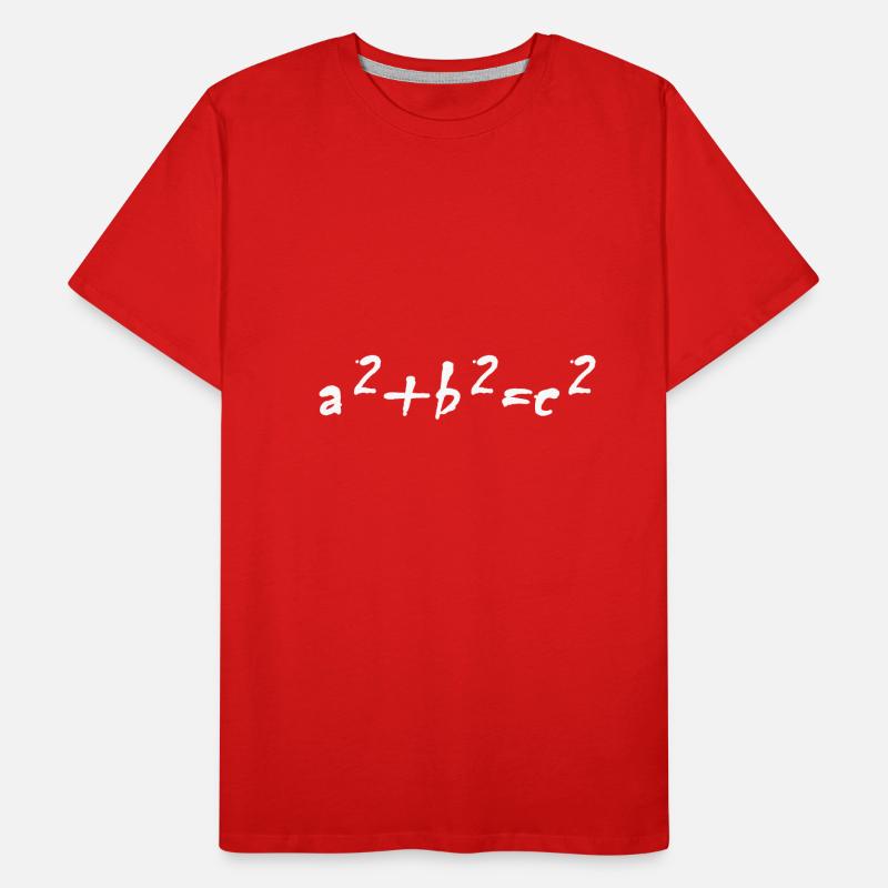 Drôle de maths formule design de professeur idée cadeau T-shirt bio Premium Homme