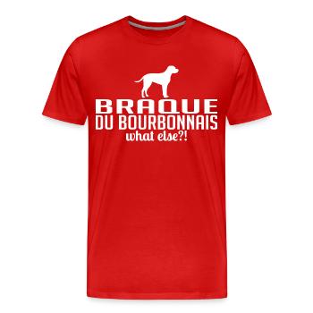 BRAQUE DU BOURBONNAIS what else Dogs Wilsigns - Men's Premium Organic T-Shirt - red - Front - Damien (186cm)