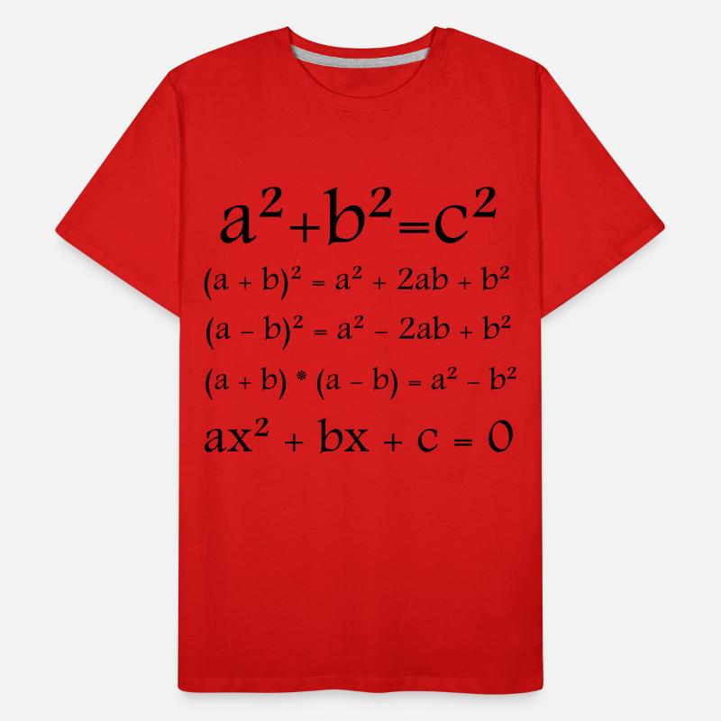 Mathématiques / Math / Formule T-shirt bio Premium Homme