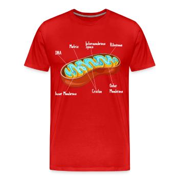 Mitochondria Cell Biology Biologist Science - Männer Premium Bio T-Shirt - Rot - Vorne - Damien (186cm)