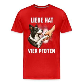 Liebe hat Vier Pfoten Border Collie Collies - Männer Premium Bio T-Shirt - Rot - Vorne - Damien (186cm)