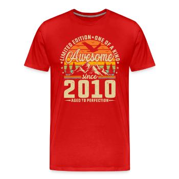 Vintage 2010 Birthday Celebration - Männer Premium Bio T-Shirt - Rot - Vorne - Damien (186cm)