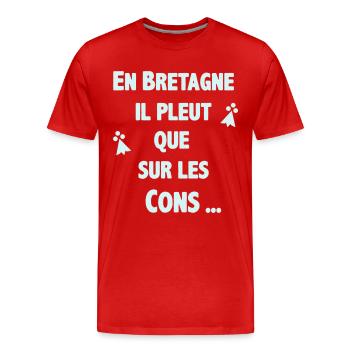 En Bretagne - T-shirt bio Premium Homme - rouge - Devant - Damien (186cm)
