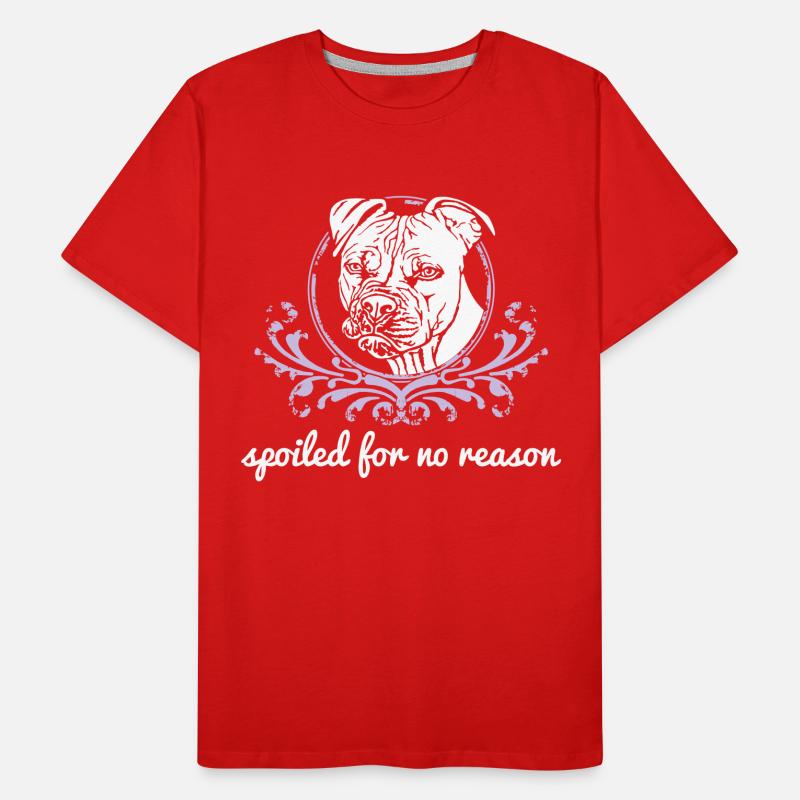 Gâté sans raison blanc T-shirt bio Premium Homme