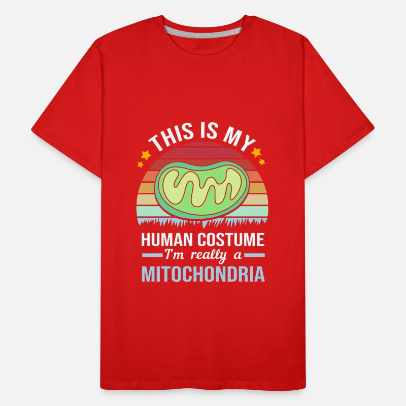Molecule Structural Formula Men's Premium Organic T-Shirt