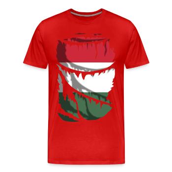 Flag of Hungary, broken or torn cloth effect - Men's Premium Organic T-Shirt - red - Front - Damien (186cm)