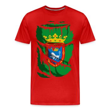 Flag of Pamplona, broken or torn fabric effect - Men's Premium Organic T-Shirt - red - Front - Damien (186cm)