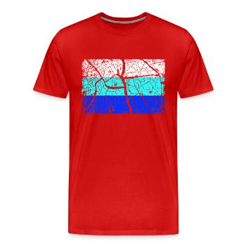 Drapeau de l’Allemagne INVERSÉ - T-shirt bio Premium Homme - rouge - Devant - Damien (186cm)