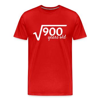 30 jahre alt Wurzel Mathe - Männer Premium Bio T-Shirt - Rot - Vorne - Damien (186cm)