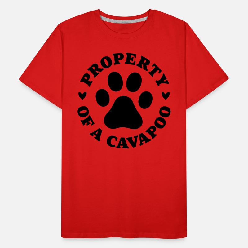 Eigentum eines Cavapoo Männer Premium Bio T-Shirt