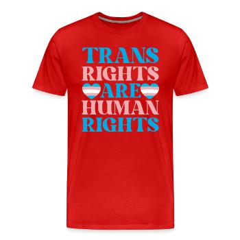 Nicht-binäres Genderfluid auf einem Spektrum Queer Pride - Männer Premium Bio T-Shirt - Rot - Vorne - Damien (186cm)