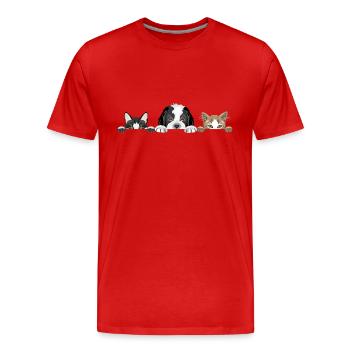 Peeping Saint Bernard puppy dog and two cute cats - Men's Premium Organic T-Shirt - red - Front - Damien (186cm)