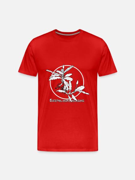 Bucephalandra kedagang - Männer Premium Bio T-Shirt - Rot