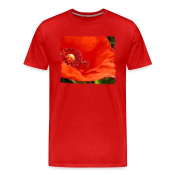 Wild bee feasts on poppy blossom - Men's Premium Organic T-Shirt - red - Front - Damien (186cm)