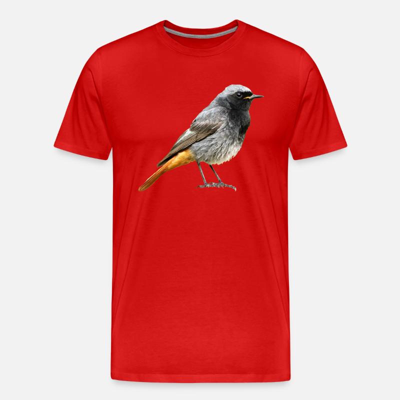Rotschwanz Robin - Männer Premium Bio T-Shirt - Rot
