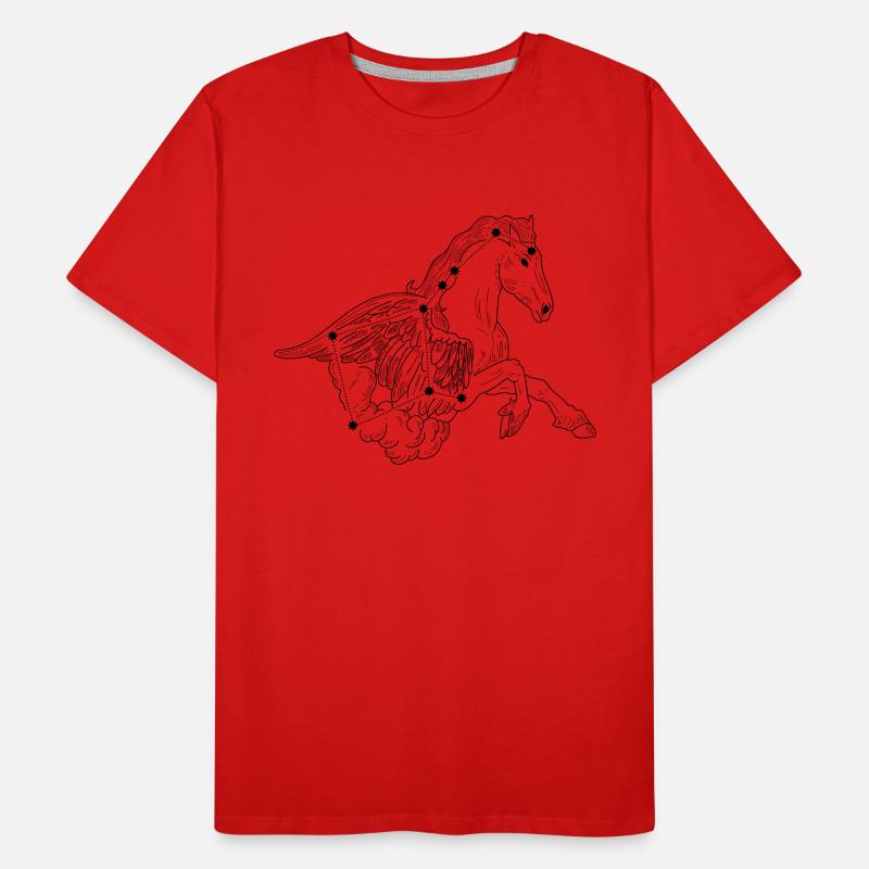 Constellation T-shirt bio Premium Homme