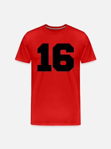 16 - Männer Premium Bio T-Shirt - Rot