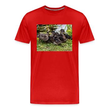 Canetons - T-shirt bio Premium Homme - rouge - Devant - Damien (186cm)