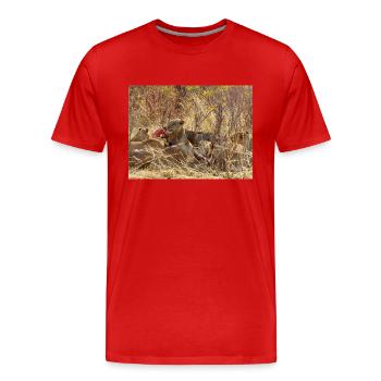 ein Rudel fressender Löwen im Chobe-Nationalpark - Männer Premium Bio T-Shirt - Rot - Vorne - Damien (186cm)
