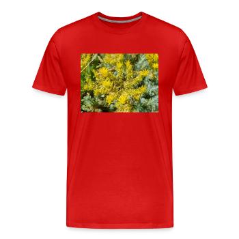 goldmoss stonecrop aussi mossy stonecrop Sedum acre - T-shirt bio Premium Homme - rouge - Devant - Damien (186cm)