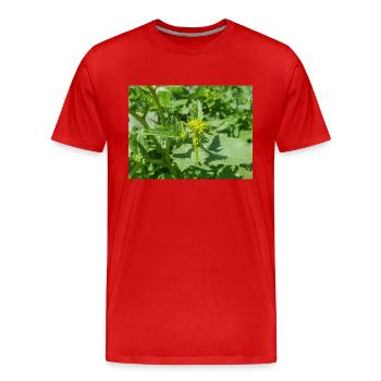 schwarzer Senf Rhamphosp - Männer Premium Bio T-Shirt - Rot - Vorne - Damien (186cm)