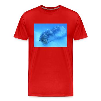 See Walze - Männer Premium Bio T-Shirt - Rot - Vorne - Damien (186cm)