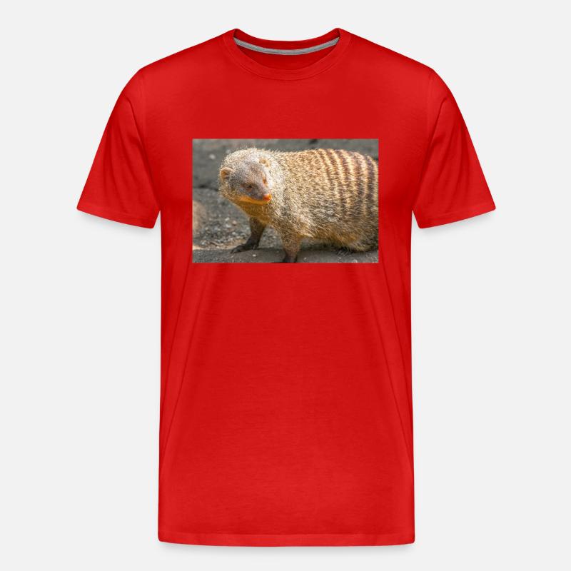 Gebänderte Manguste oder Zebramanguste - Männer Premium Bio T-Shirt - Rot