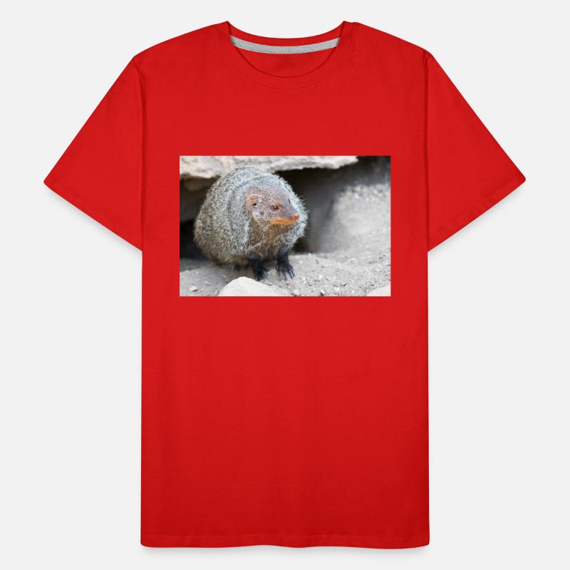 Gebänderte Manguste oder Zebramanguste Männer Premium Bio T-Shirt