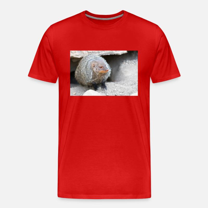 Gebänderte Manguste oder Zebramanguste - Männer Premium Bio T-Shirt - Rot