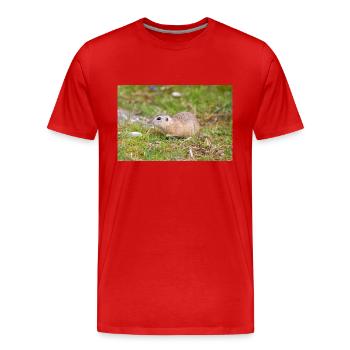 European ground squirrel also souslik Ziesel - Men's Premium Organic T-Shirt - red - Front - Damien (186cm)