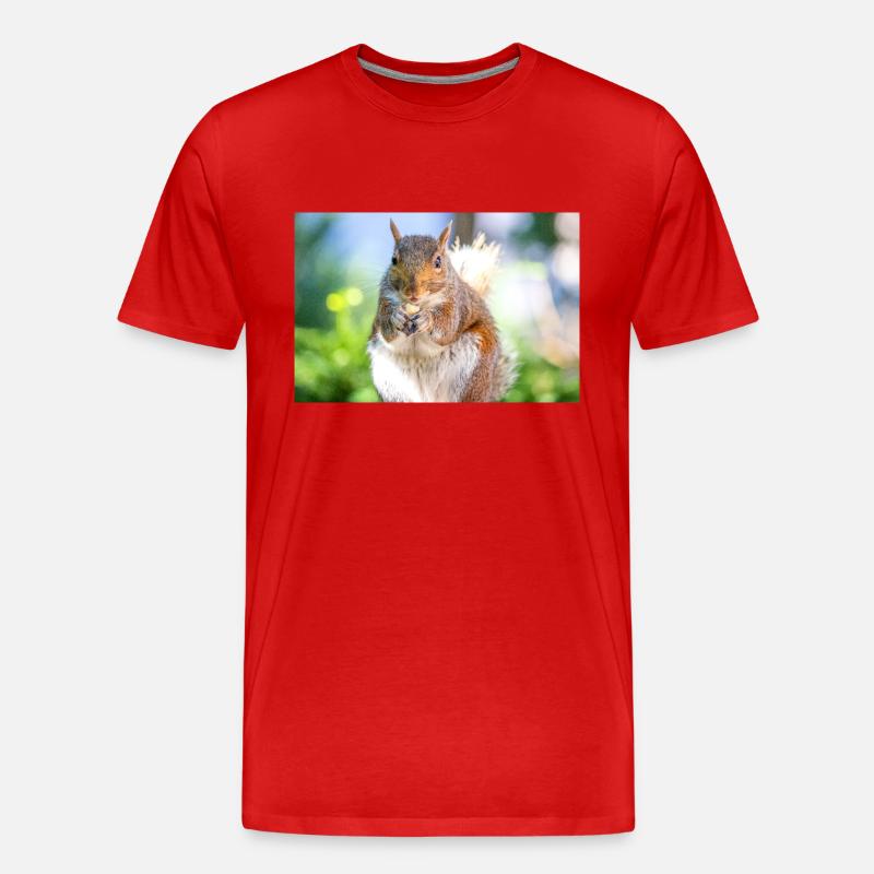 Grauhörnchen essen - Männer Premium Bio T-Shirt - Rot