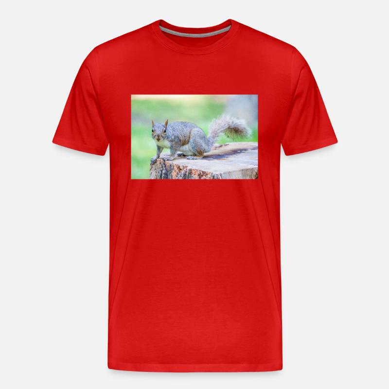 Grauhörnchen Sciurus carolinensis - Männer Premium Bio T-Shirt - Rot