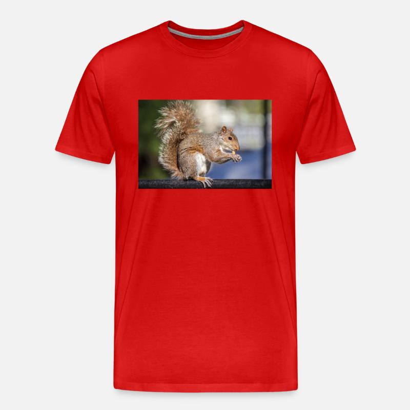 Grauhörnchen essen - Männer Premium Bio T-Shirt - Rot