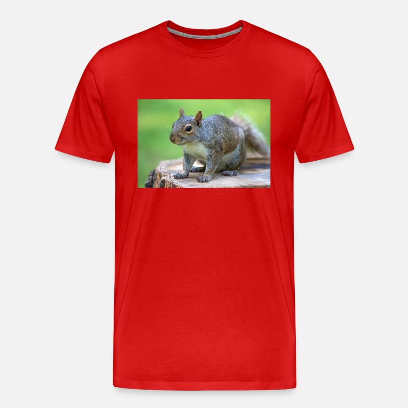 Grauhörnchen Sciurus carolinensis - Männer Premium Bio T-Shirt - Rot