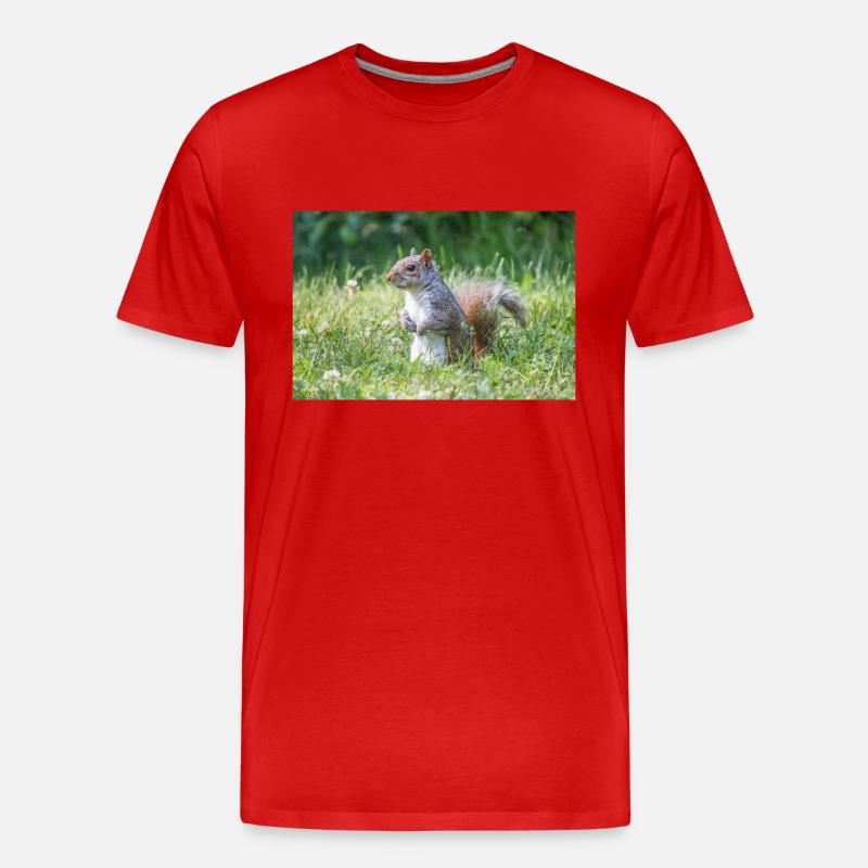 stehendes Grauhörnchen (Sciurus carolinensis) grey - Männer Premium Bio T-Shirt - Rot