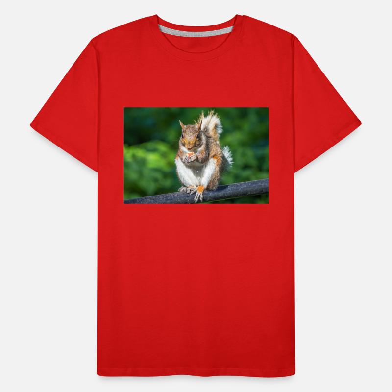 Manger Écureuil gris Grauhörnchen Sciurus caroline T-shirt bio Premium Homme