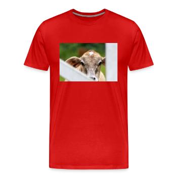 petit veau au doux regard - T-shirt bio Premium Homme - rouge - Devant - Damien (186cm)