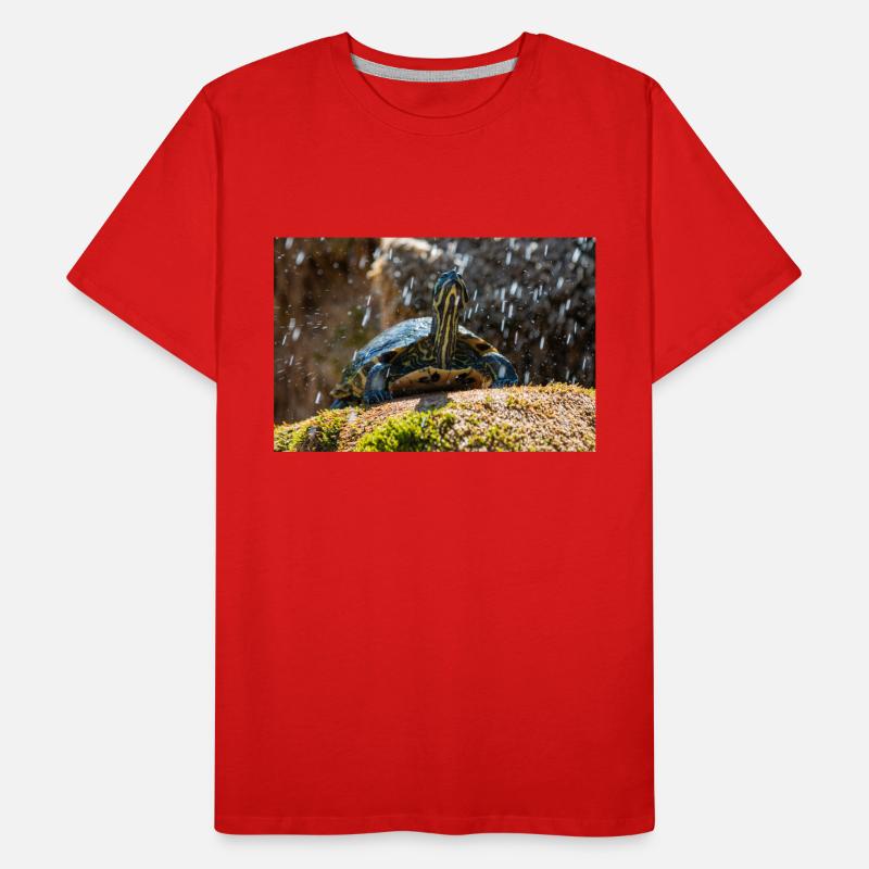 Gelbbauch-Slider Trachemys scripta scripta Männer Premium Bio T-Shirt