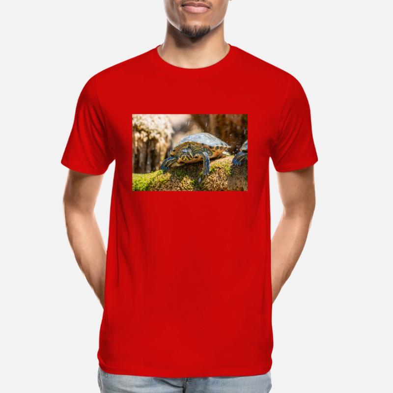 Trachemys scripta scripta scripta T-shirt bio Premium Homme