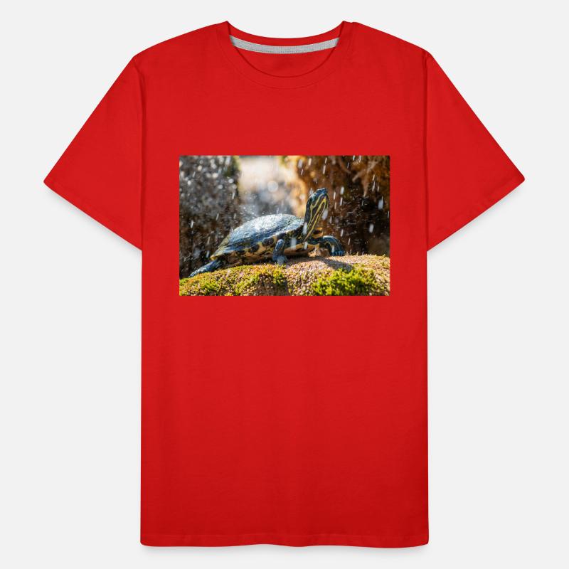 Gelbbauch-Slider Trachemys scripta scripta Männer Premium Bio T-Shirt
