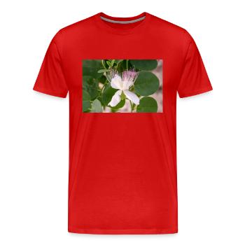 Kapernstrauch auch Flinders-Rose Capparis spinosa - Männer Premium Bio T-Shirt - Rot - Vorne - Damien (186cm)