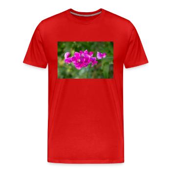 everlasting pea perennial pea Lathyrus latifolius - Men's Premium Organic T-Shirt - red - Front - Damien (186cm)